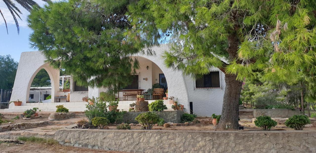 Níjar El Molino De Arribaヴィラ エクステリア 写真