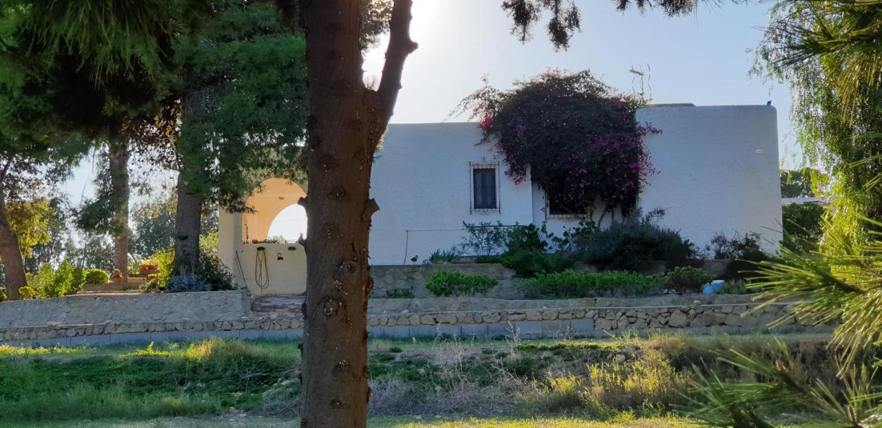 Níjar El Molino De Arribaヴィラ エクステリア 写真