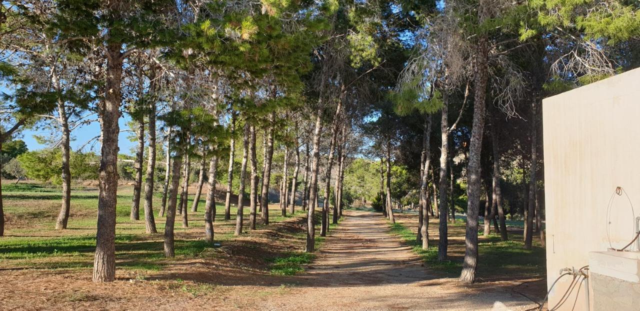 Níjar El Molino De Arribaヴィラ エクステリア 写真