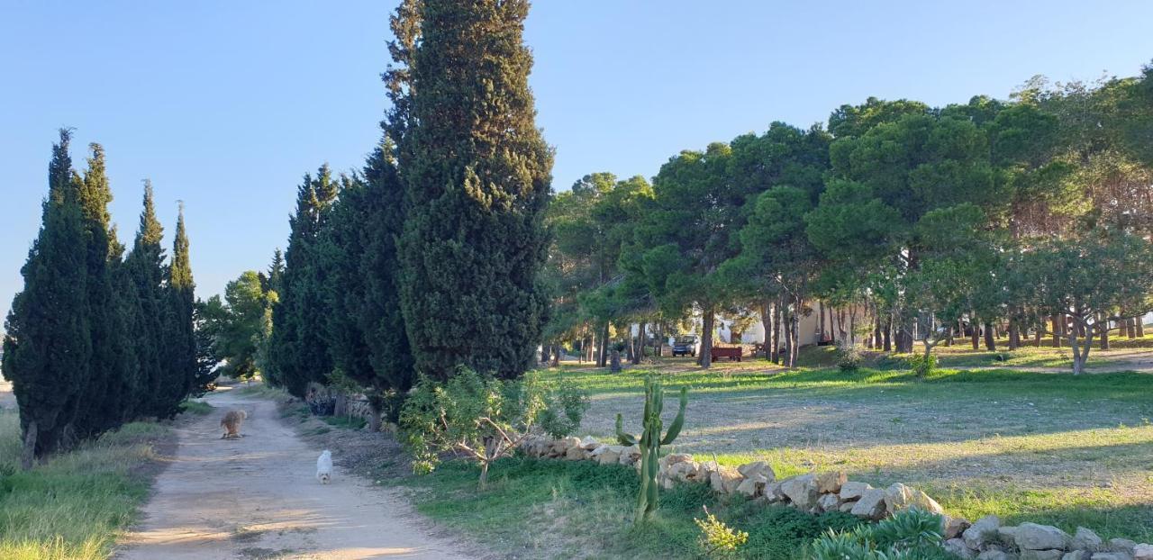 Níjar El Molino De Arribaヴィラ エクステリア 写真