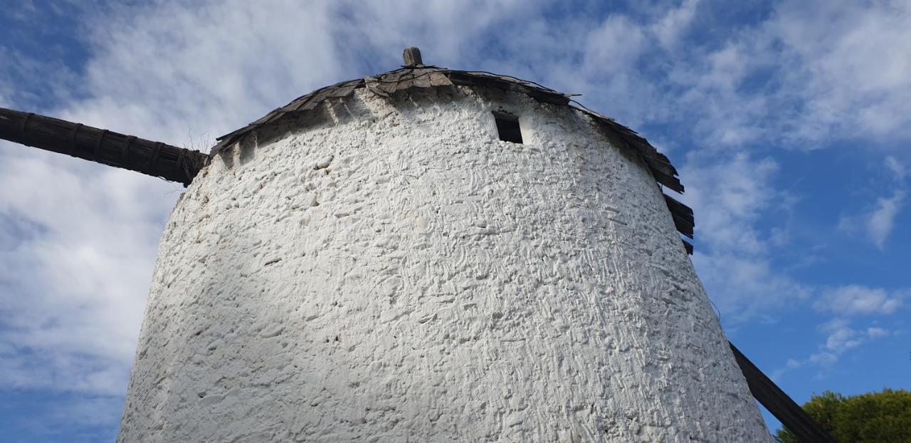 Níjar El Molino De Arribaヴィラ エクステリア 写真